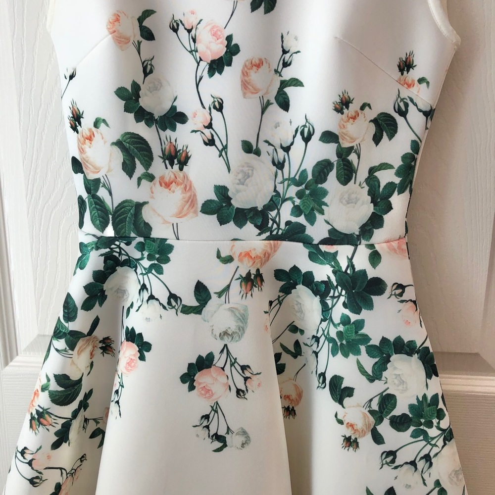 Erin Fetherstone White Roses Garden Cocktail Dress